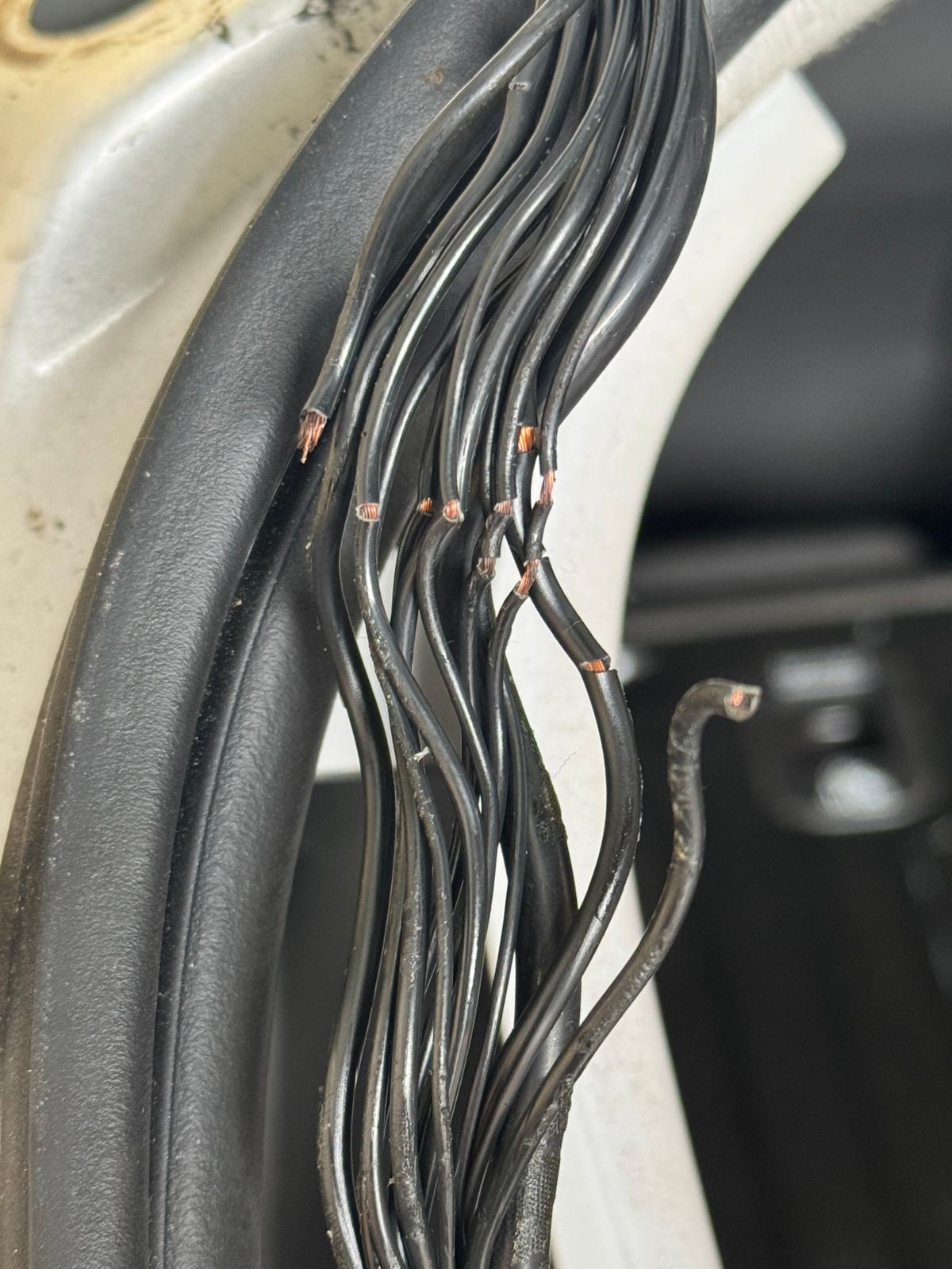 Close-up of a car wiring loom with the damaged wires exposed, ready for repair